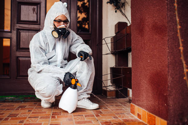 Reliable Cockroach Control contractor in Fairmont, MN by Nex Pest Control