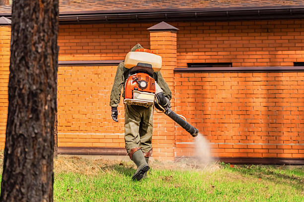 Top rated local Cockroach Control specialists in Fairmont, MN